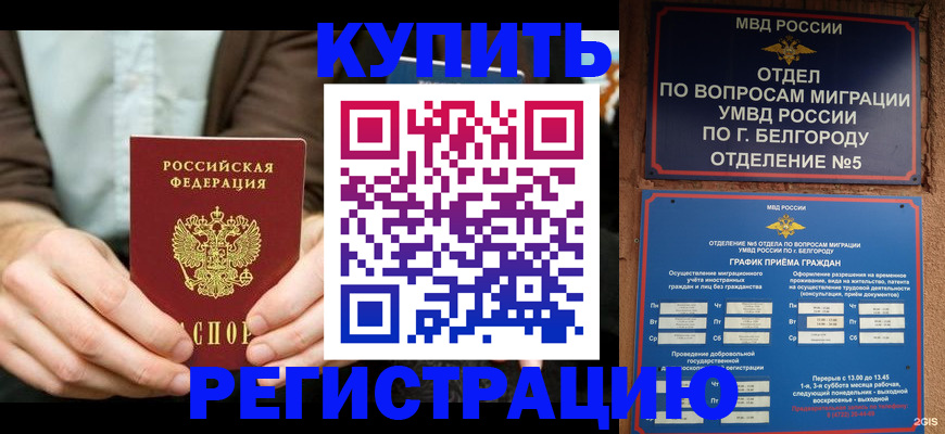 прописка 2025 в Александровске